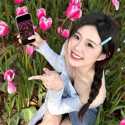 南方与北方